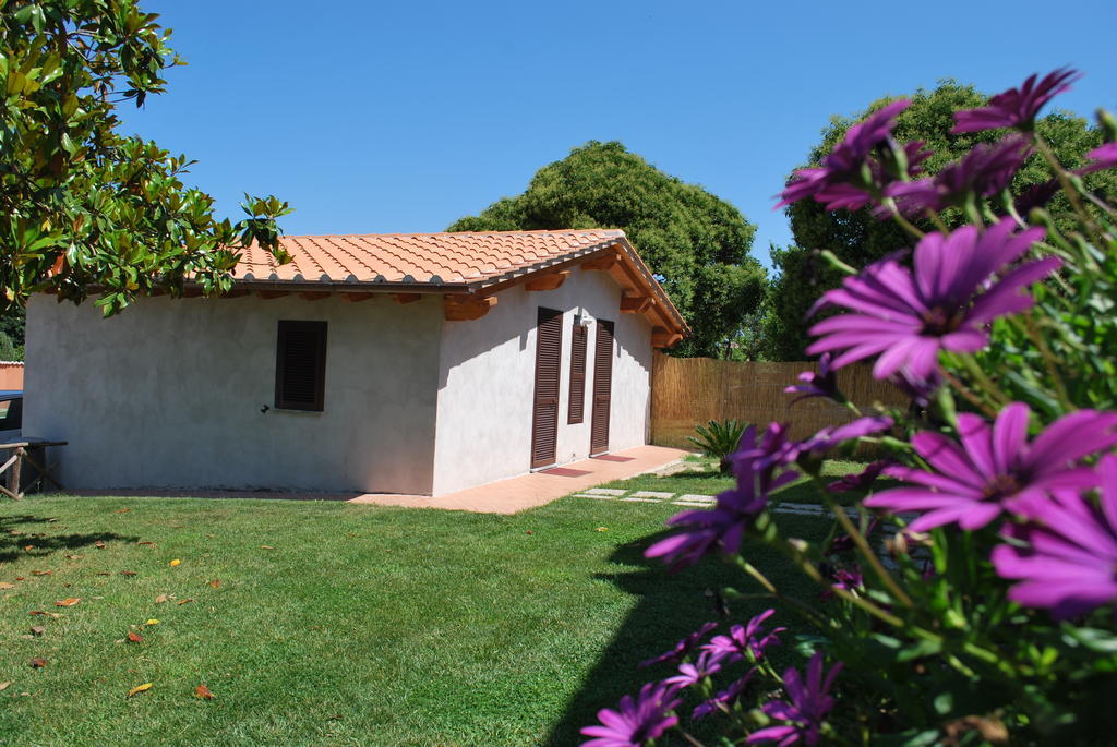 Agriturismo La Valle Di Ceri Cerveteri Extérieur photo